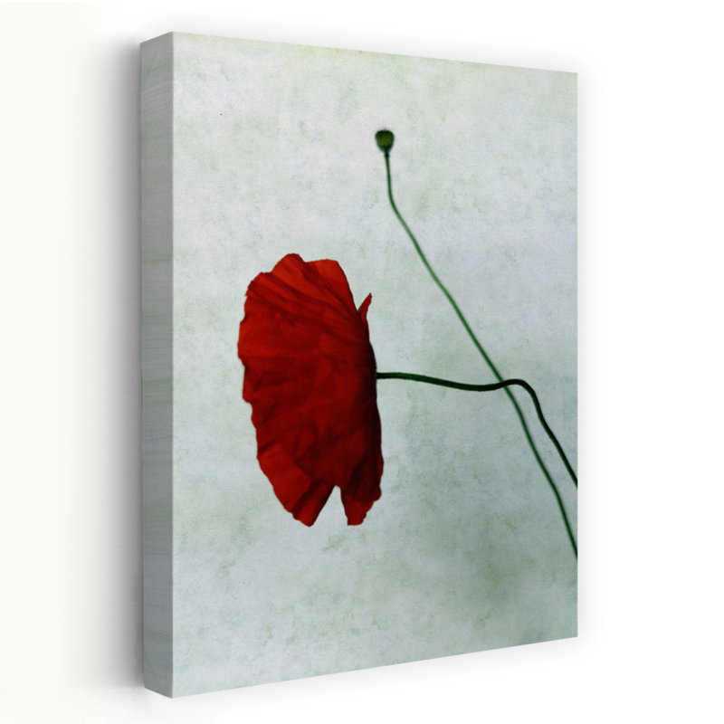 Art contemporain, art floral moderne, coquelicot organique moderne, H 24 po x l 16 po