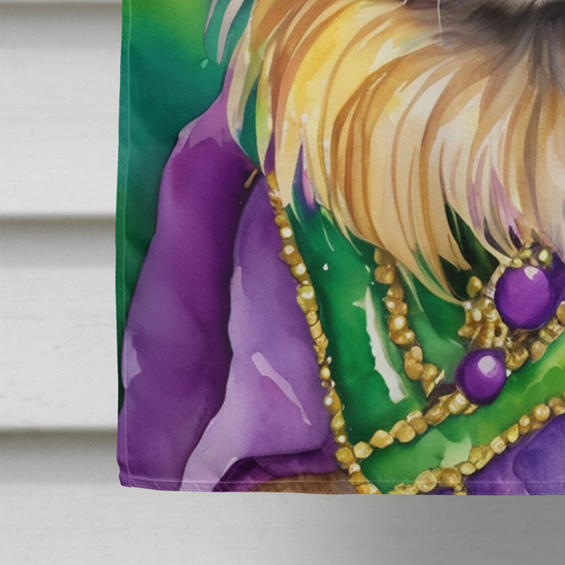 Double Sided 28'' H x 40'' W Polyester Mardi Gras House Flag