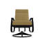 Belle Isle Outdoor Lounge Chair-1559754401-1559754406
