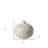 Alba Ceramic / Porcelain Table Vase