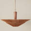 Condesa 6 - Light Chandelier
