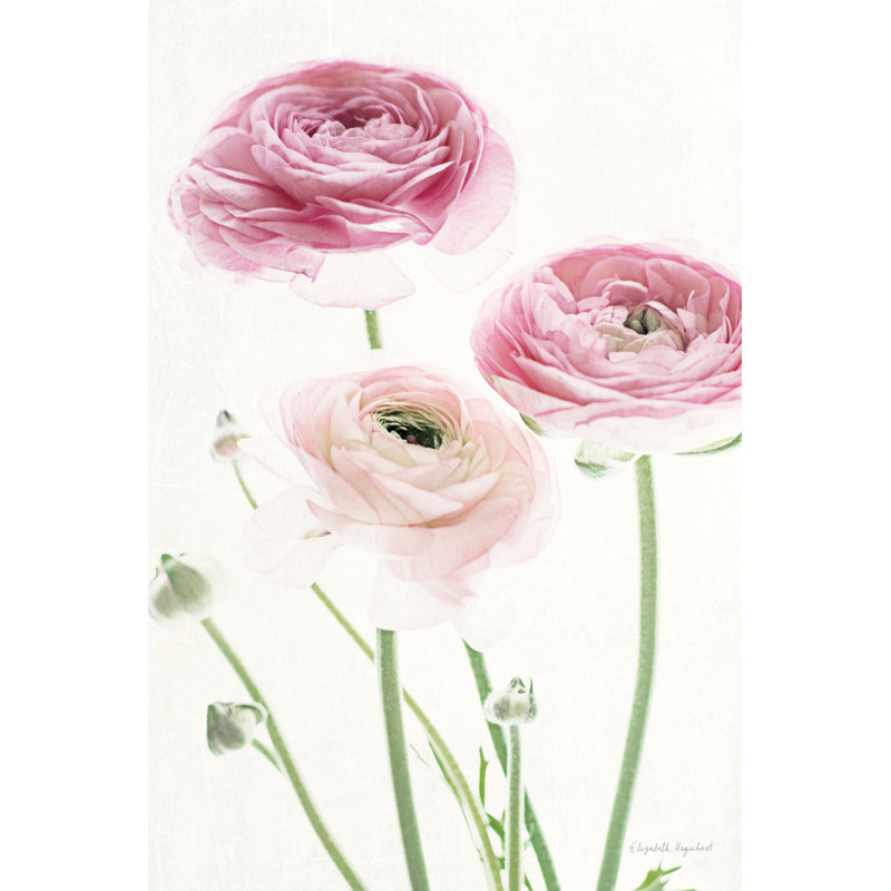 Light And Bright Floral VI by Elizabeth Urquhart - Wrapped Canvas Painting, 30cm H x 20cm W x 3.8cm D