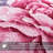 Plain Weave / Muslin Throw Blanket-2745942