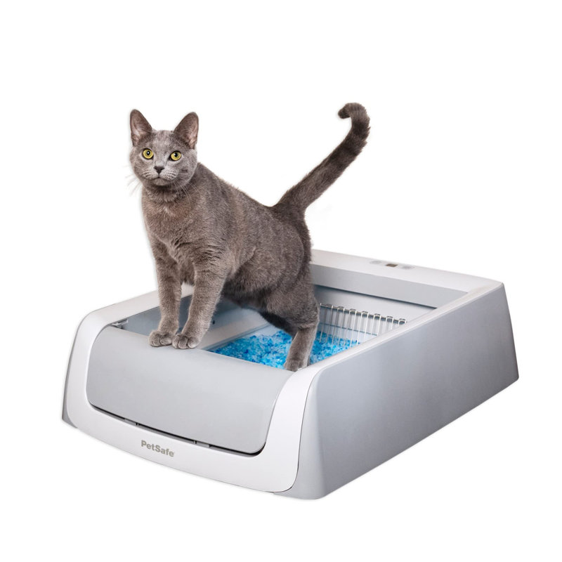 Gray Automatic Self-Cleaning Cat Litter Box with Crystal Tray