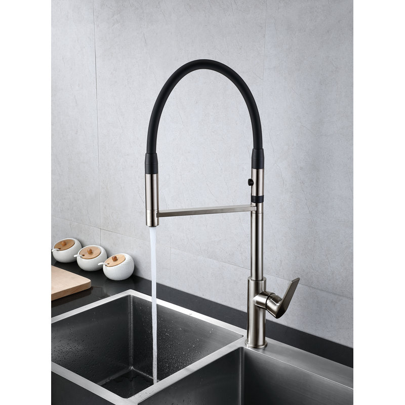 New Spec Inc Jasmine Kitchen Faucet, Chrome