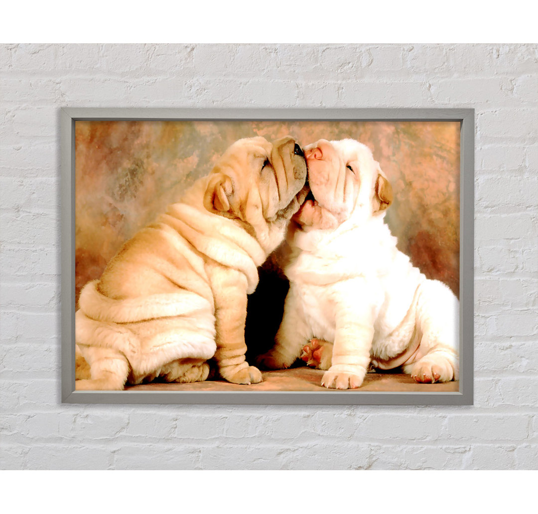 Shar Pei Welpen - Einzelne Bilderrahmen Kunstdrucke auf Leinwand