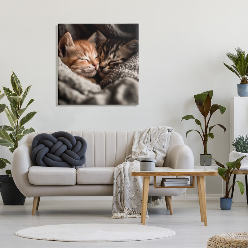 Portrait de chatons câlins par Roozbeh, H 30 po x l 30 po x P 1,5 po