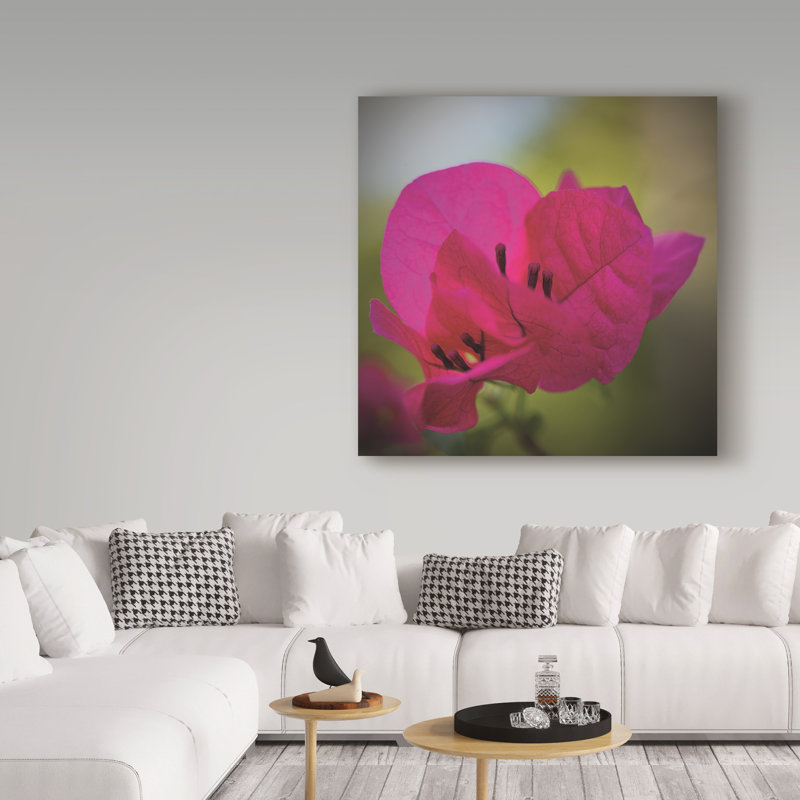 Modern & Contemporary, 35" H x 35" W x 2" D