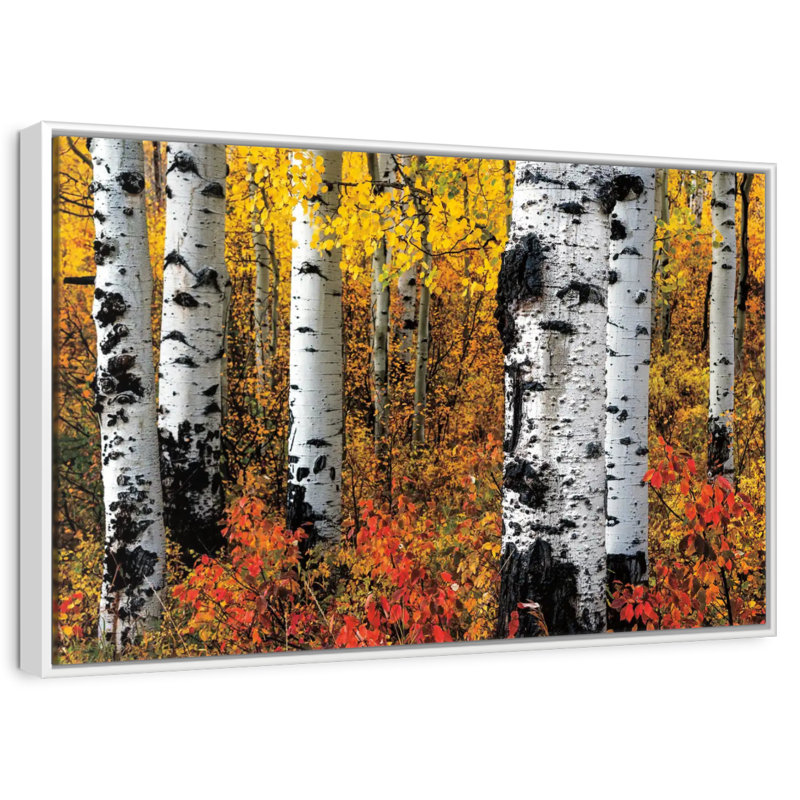 Band of Brothers, Cadre flottant blanc, 43 po x 29 po