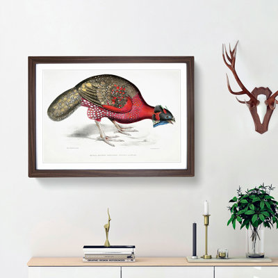 Bengal Horned Pheasant by John Edward Gray - Picture Frame Painting Print