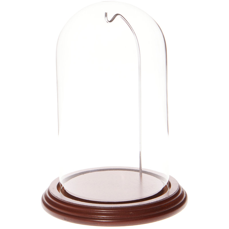 Cloche à dôme en verre 3 "x 4", Base en chêne / fil de laiton