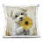 Chien beige