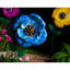 Jeu de jardin solaire xl secret-978118200
