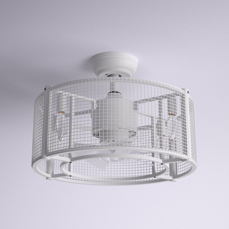 Rigsby 20'' Ceiling Fan with Light Kit, White