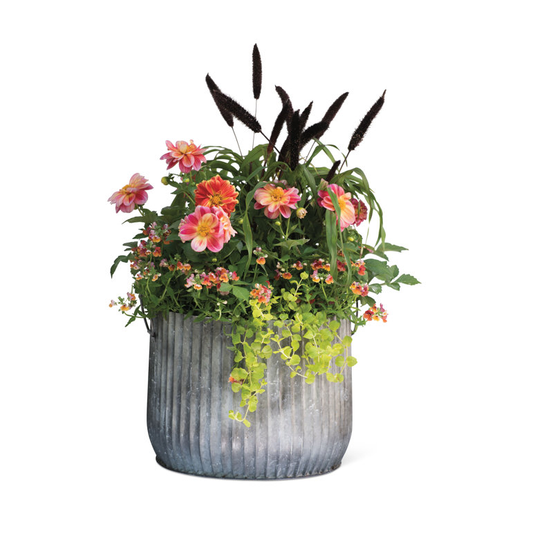 14" Galvanized Steel Ribbed Planter with Metal Handles