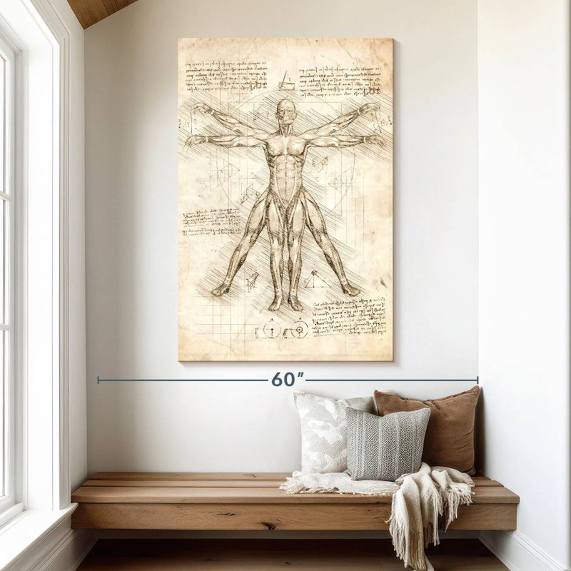 Keiri Vitruvian Man, 51" H x 34" W