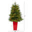 Sapin de Noël artificiel vert avec lumières claires Yukon Mountain-1248272844