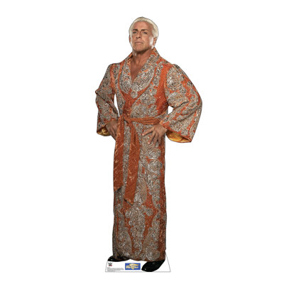 Accroche wwe ric style