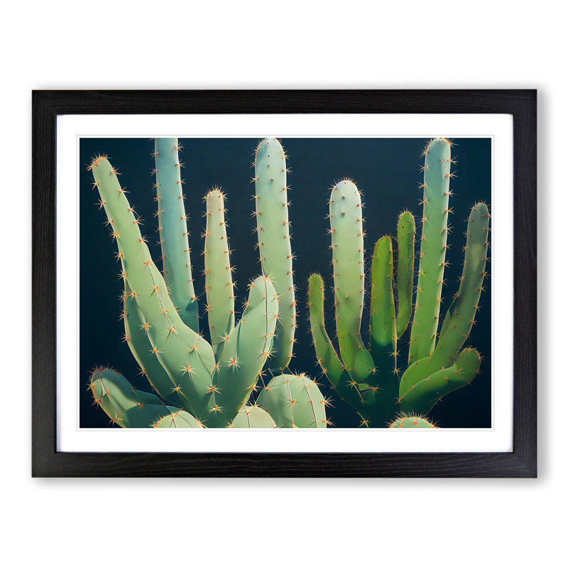 Enthralling Cactus - Single Picture Frame Painting, Black , 46cm H x 64cm W x 2cm D