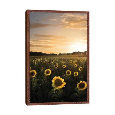 Sunflowerfield In Sweden by Christian Lindsten - Print on Canvas