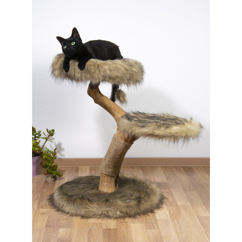 Cram 75cm H Cat Tree