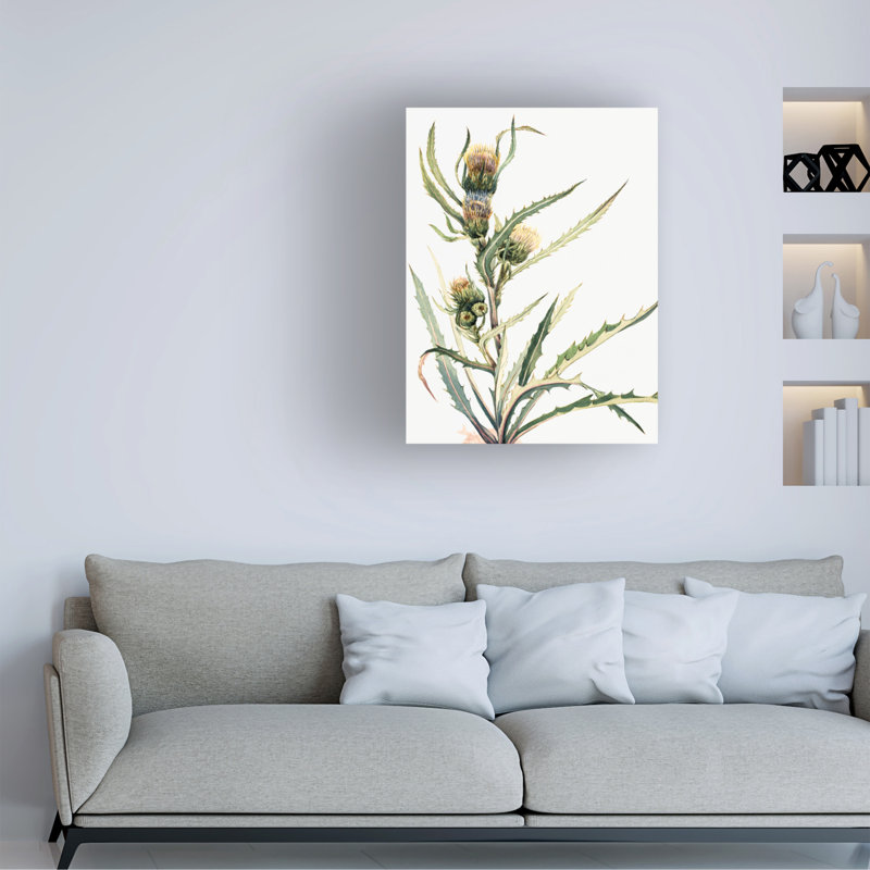 Art sur toile, bolognaise, bologle Mary Vaux Walcott, H 19 po x l 14 po