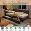 Upholstered Daybed-808447758-808447761