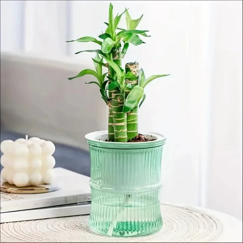 Pot à fleurs hydroponique à arrosage automatique, Vert