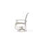 Belle Isle Sling Aluminum Frame Dining Height Swivel Rocker with Marine Grade Polymer Arm Accent-1423646795-1423646792
