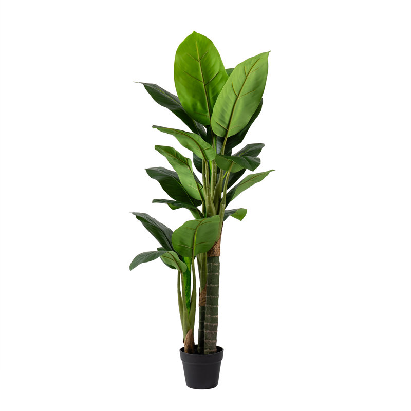 120cm Faux Real Touch Dieffenbachia