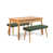 Vert; pin atlantique