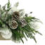 Centres de table Cottleville Magnolia en pot