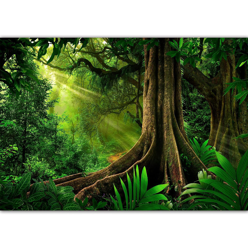 Peel & Stick Border, 100" L x 144" W