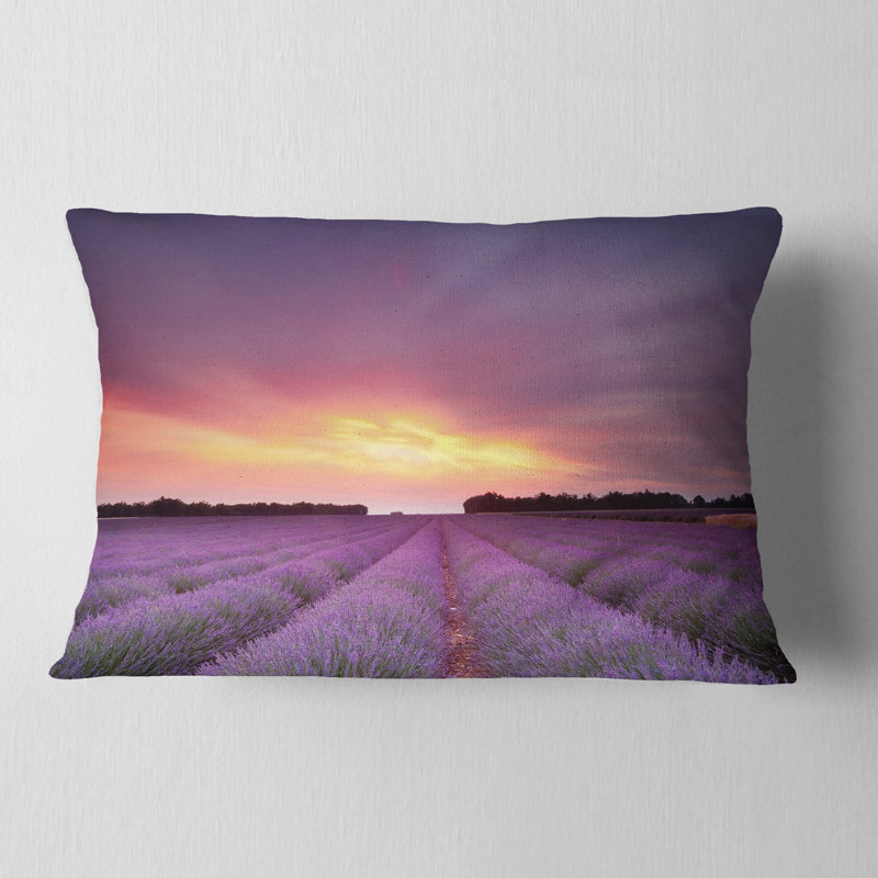Coussin lombaire Schafer