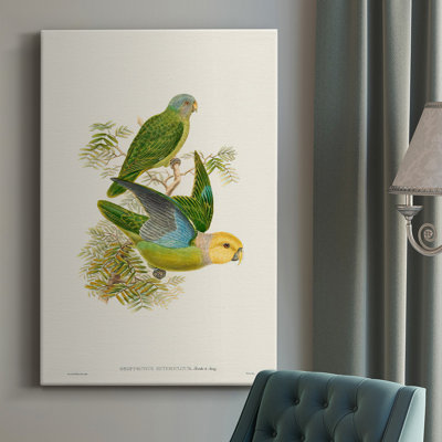 " Lime & Cerulean Parrots I "