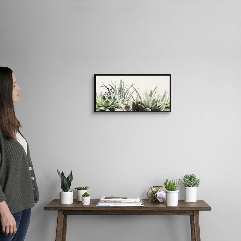 «Soft Succulents II», art mural sur toile, Toile avec cadre noir, H 10 po x l 20 po x P 1,75 po