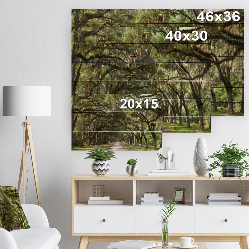 Live Oak Tunnel - Imprimé, H 15 po x l 20 po x P 1 po, Bois sans cadre