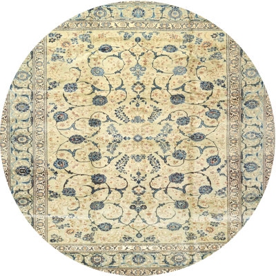 Chera Oriental Indoor Rug