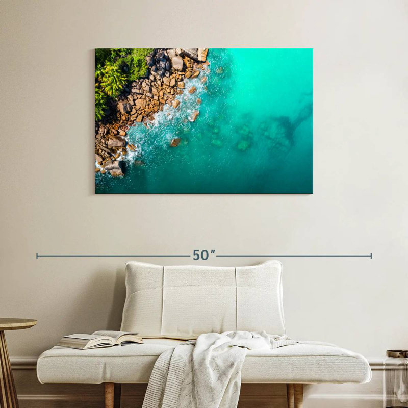 Gillard, Seychelles, requin, Gillard, H 26 po x l 39 po