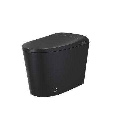 Toilette intelligente une pièce 27,2 po avec lavage bidet, siège chauffant, sécheuse, chasse automatique et télécommande