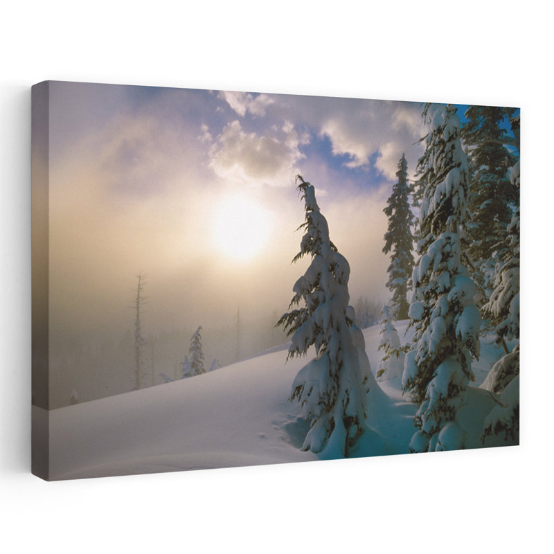 Pin enneigé au lever du soleil à travers le brouillard, Oregon, Cascades, Oregon, États-Unis, H 16 po x l 24 po