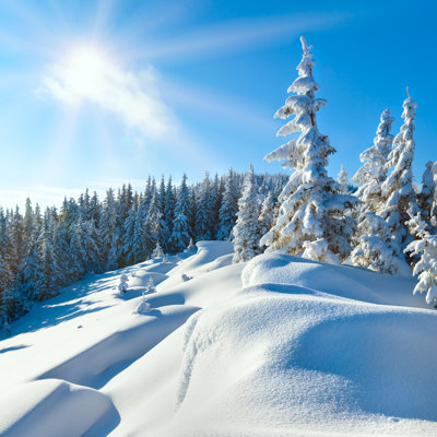 Snowdrifts - Photographie sur toile tendue