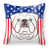 Bouledogue anglais blanc