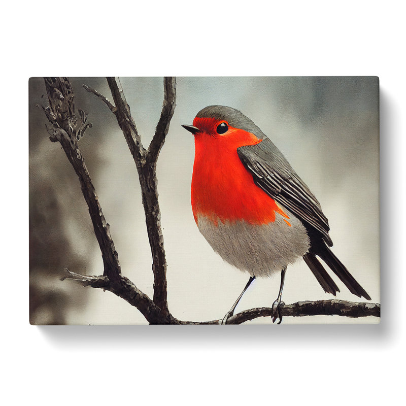 Wondrous Robin Bird - Wrapped Canvas, 50cm H x 76cm W