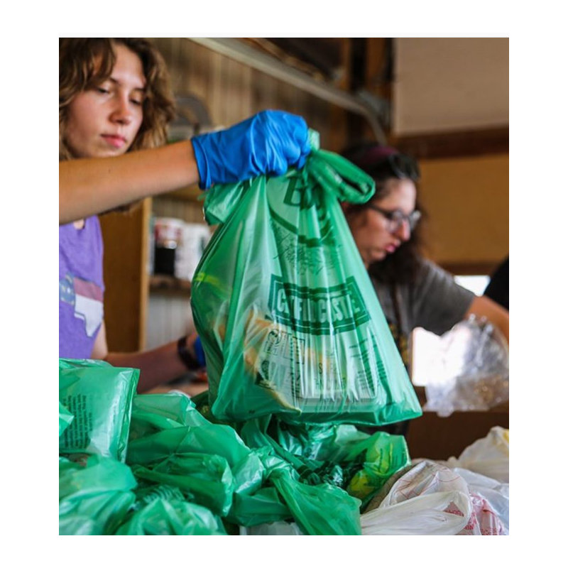 Grand sac compostable par Biobag (500 unités), Grand