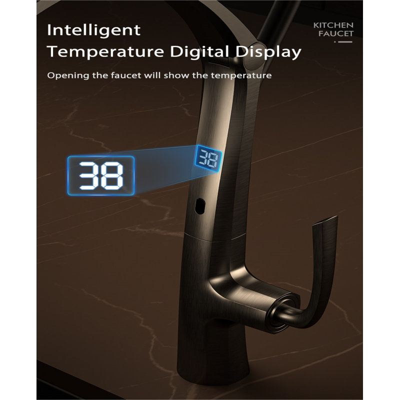 Smart Living&Technology Pull Down Kitchen Faucet, Brushed Gold