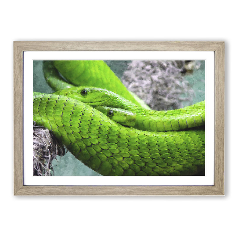 Green Mamba Snakes - Framed Print, 48cm H x 65cm W x 2cm D, Oak Framed