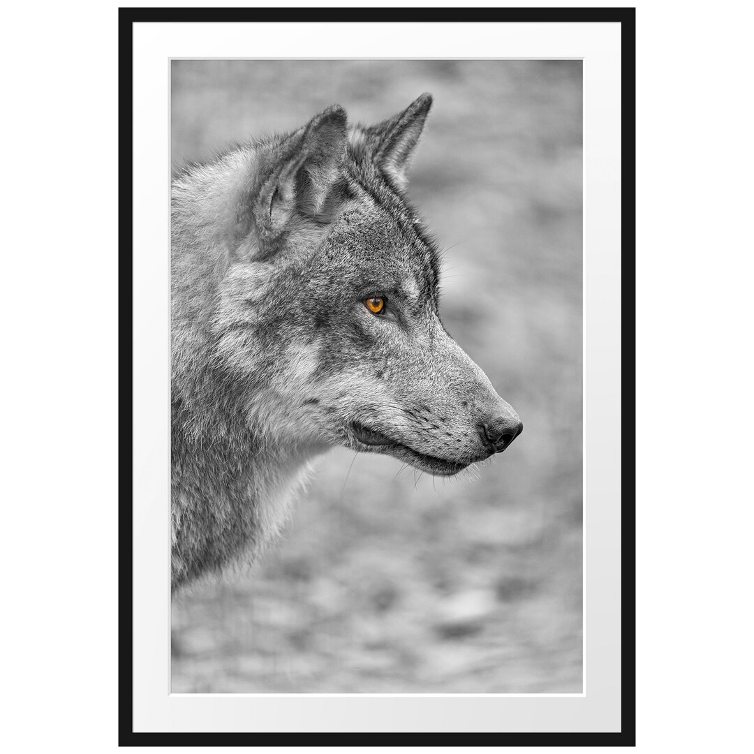 Gerahmtes Poster Anmutiger Wolf im Wald