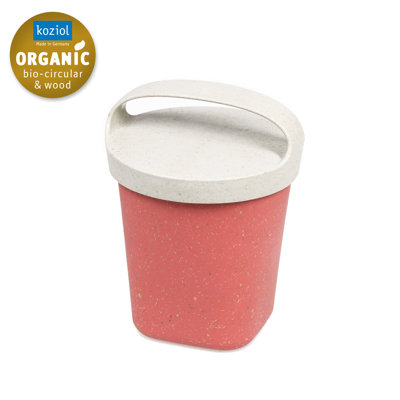 BUDDY 17.5ml Food Storage Container