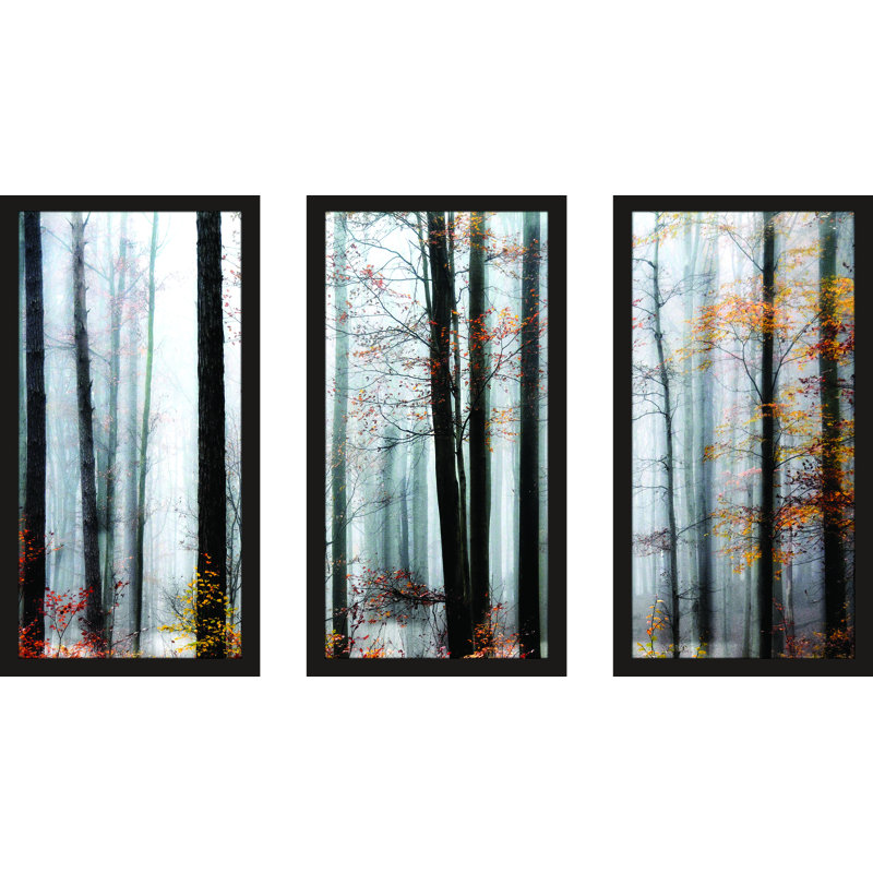 Daylight Enraptured - Ensemble de 3 reproductions de photos sur acrylique, H 33,5 po x l 52,5 po x P 1 po